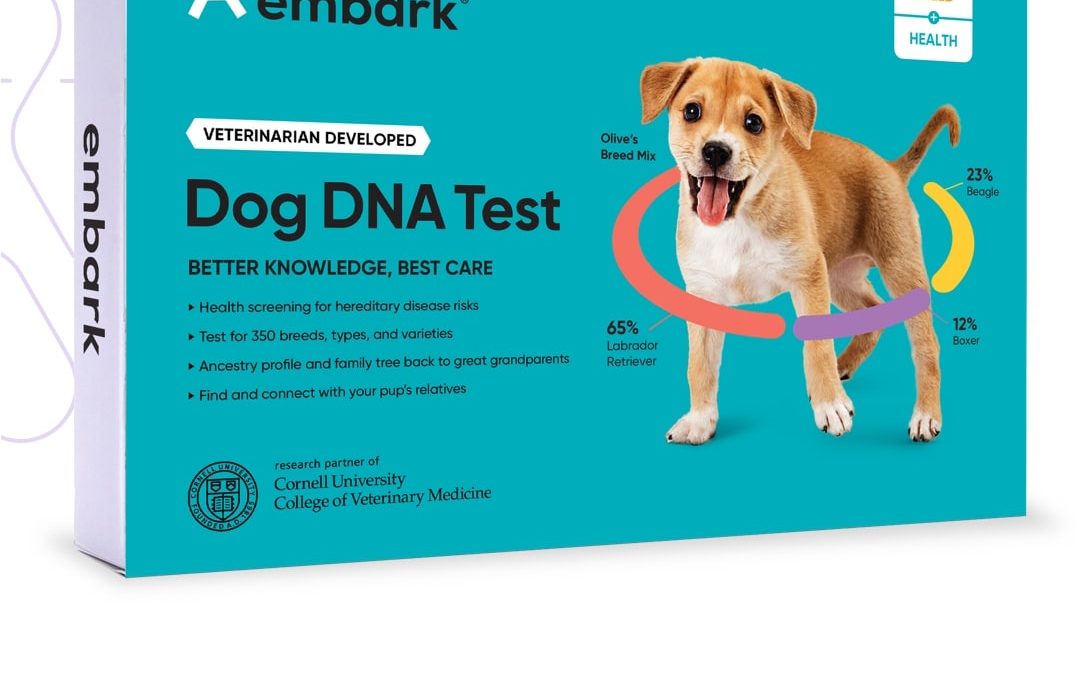 Embark DNA test