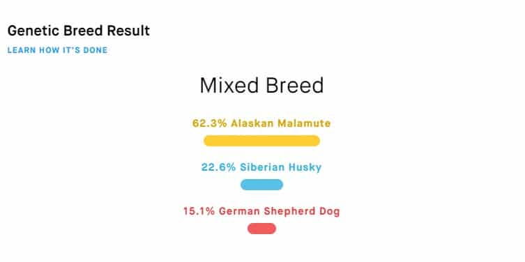 DNA test hond